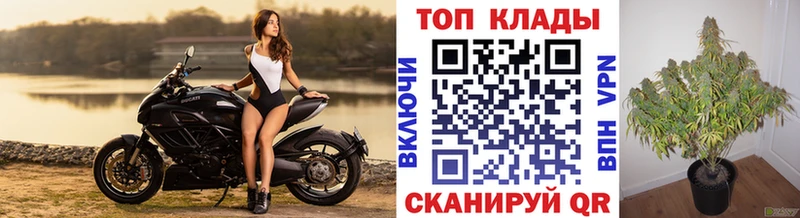 Наркотические вещества Рославль Бошки Шишки  Codein  Псилоцибиновые грибы  ГАШ  Меф  МЕГА ССЫЛКА  Альфа ПВП  КОКАИН 