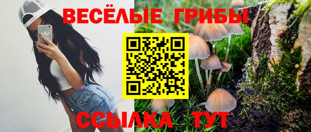 Галлюциногенные грибы GOLDEN TEACHER Рославль